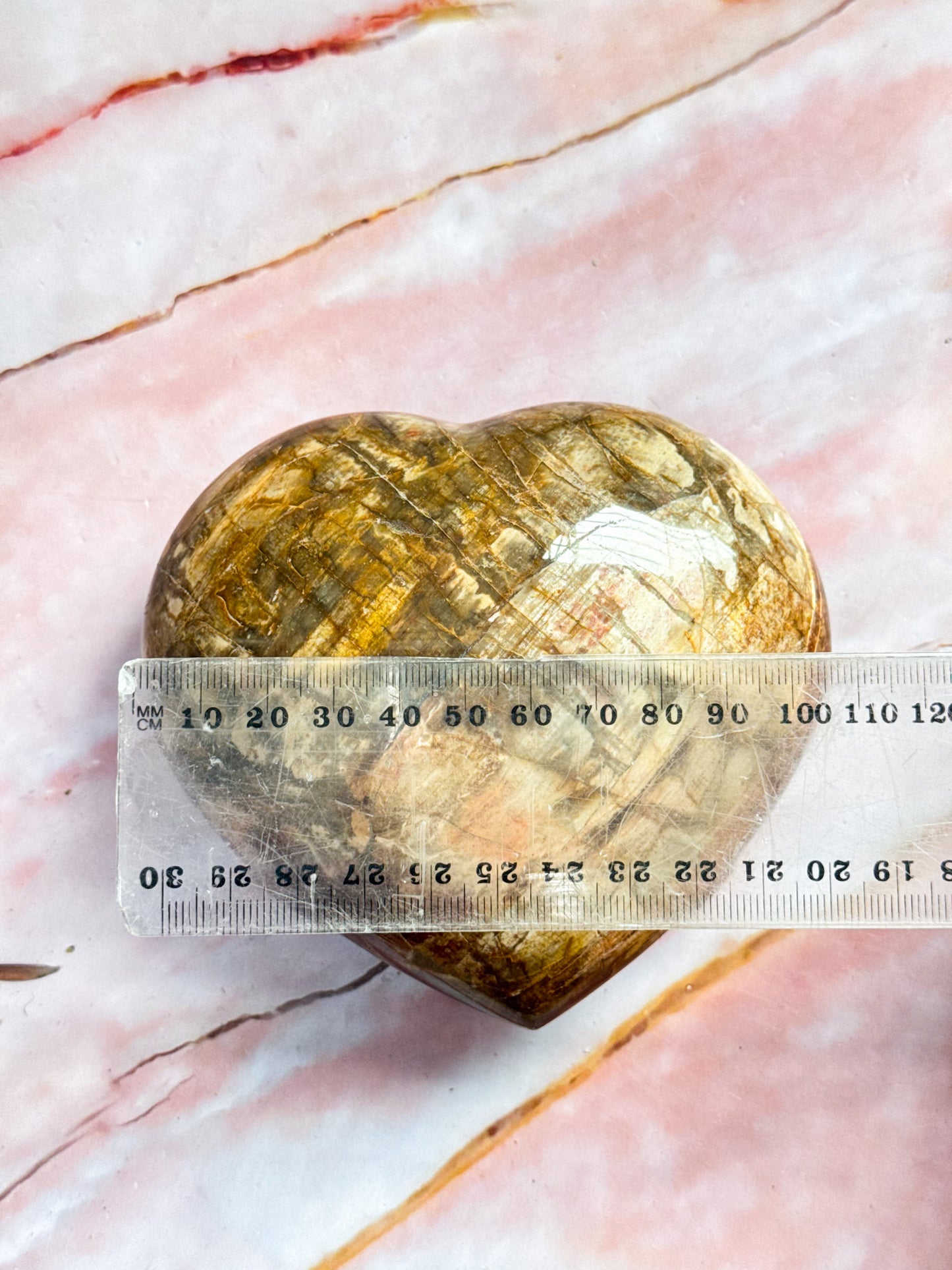 Petrified Wood Heart
