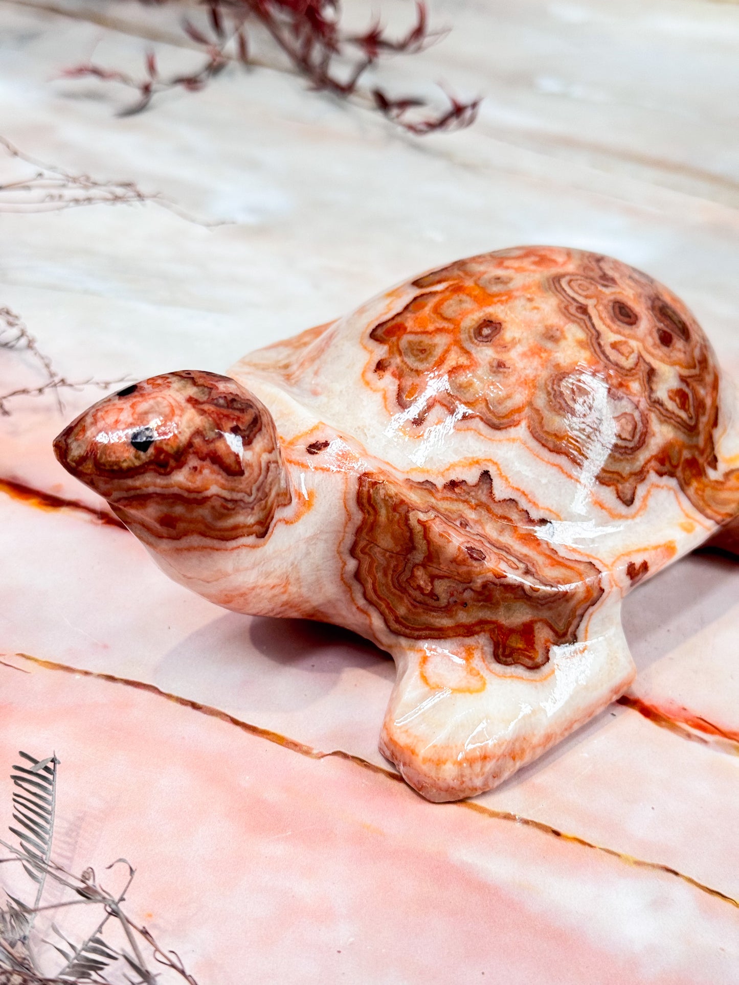Pork Stone Turtle Carving