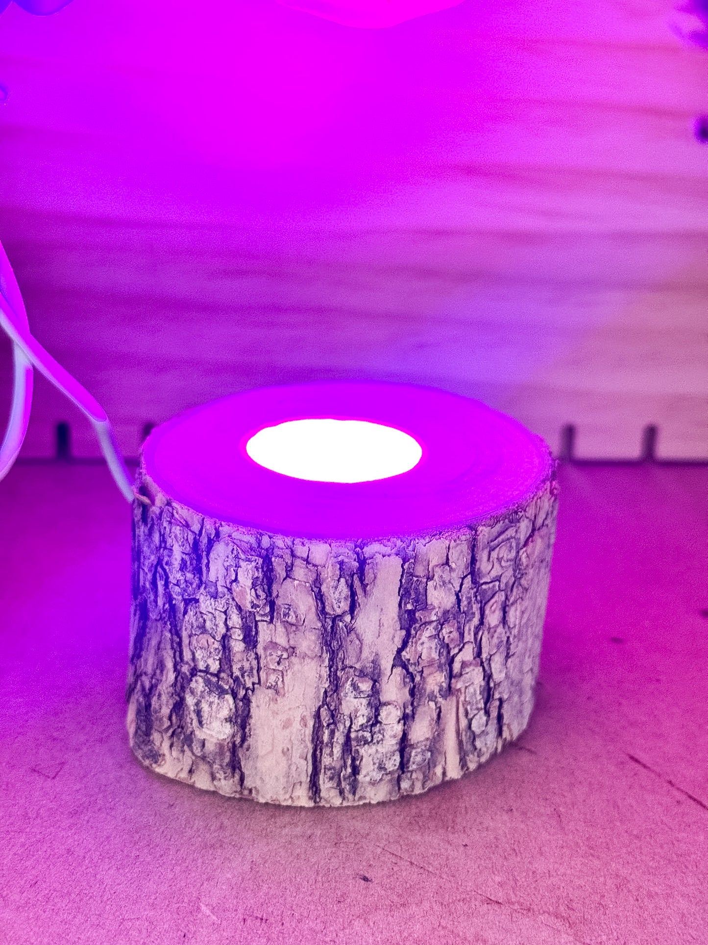 Tree Stump Light Stands