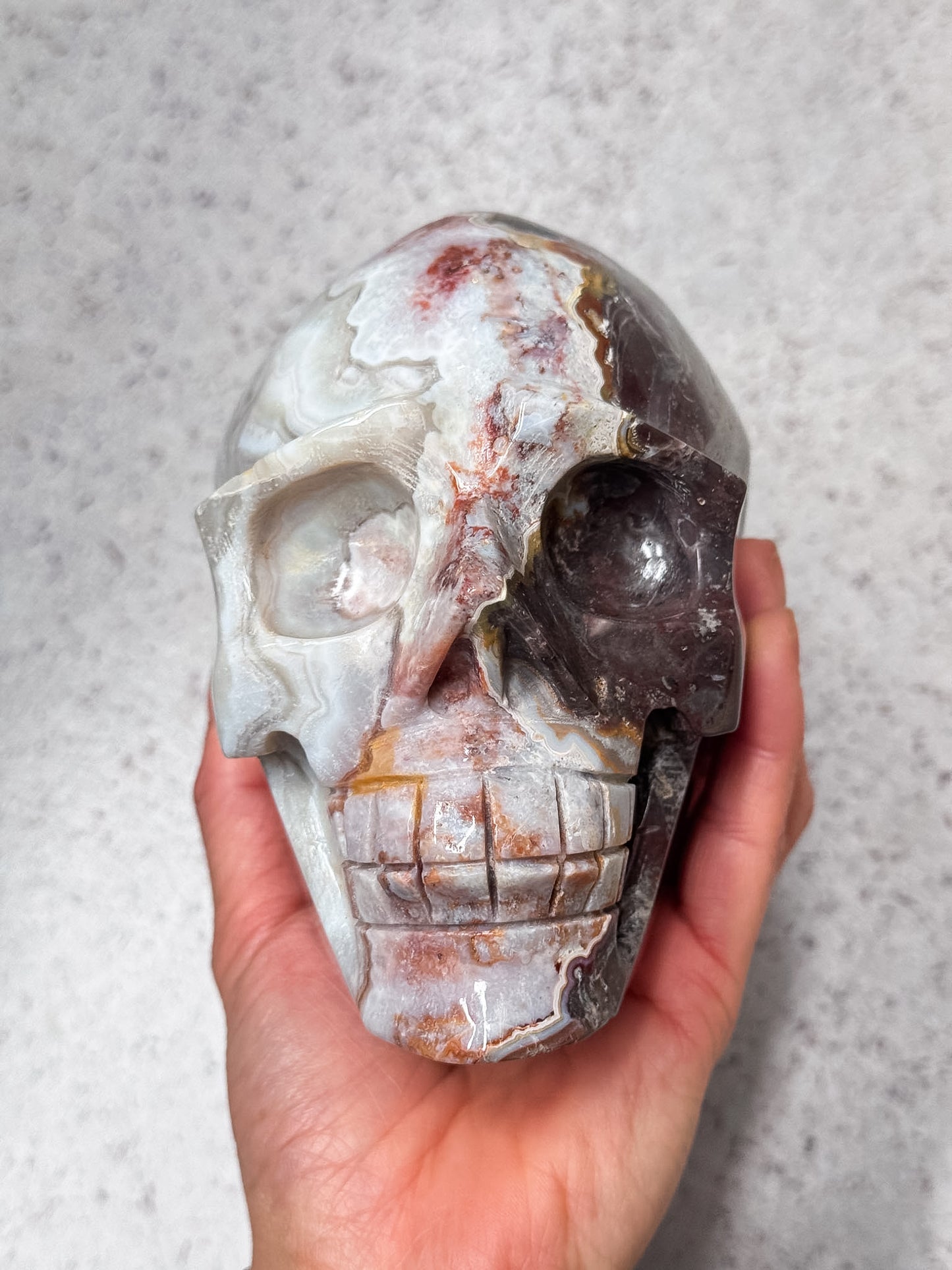 Crazy Lace Agate Skull