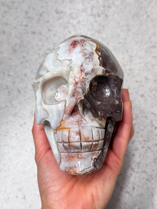 Crazy Lace Agate Skull