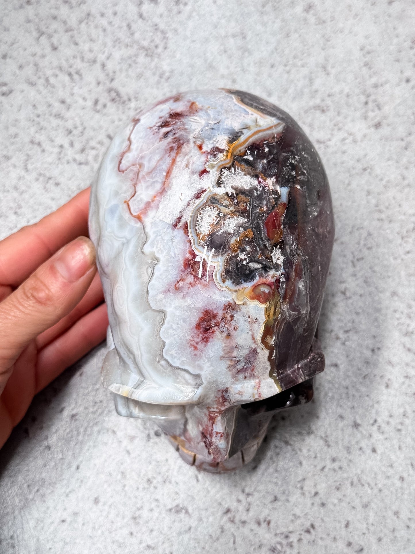 Crazy Lace Agate Skull