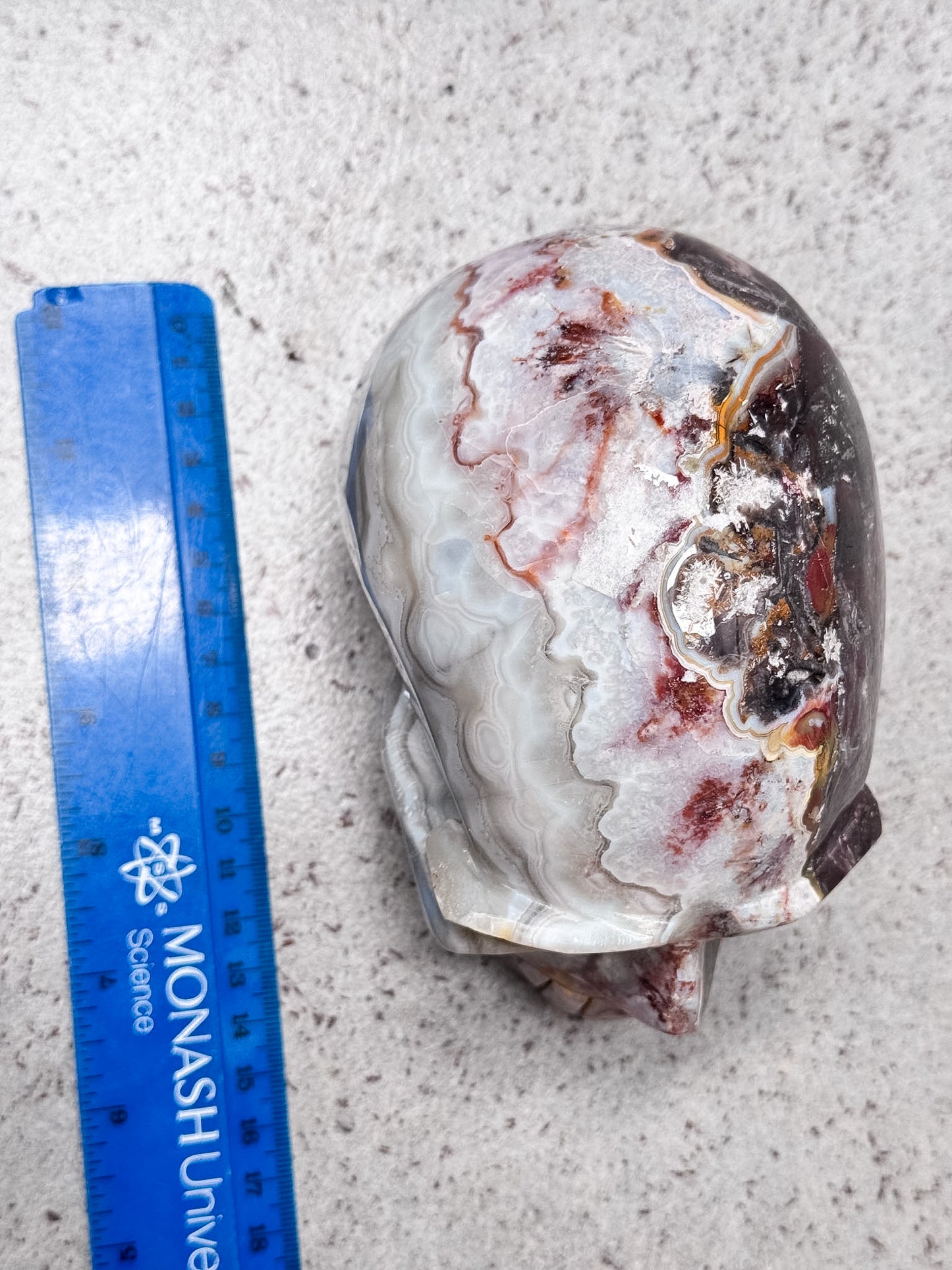 Crazy Lace Agate Skull