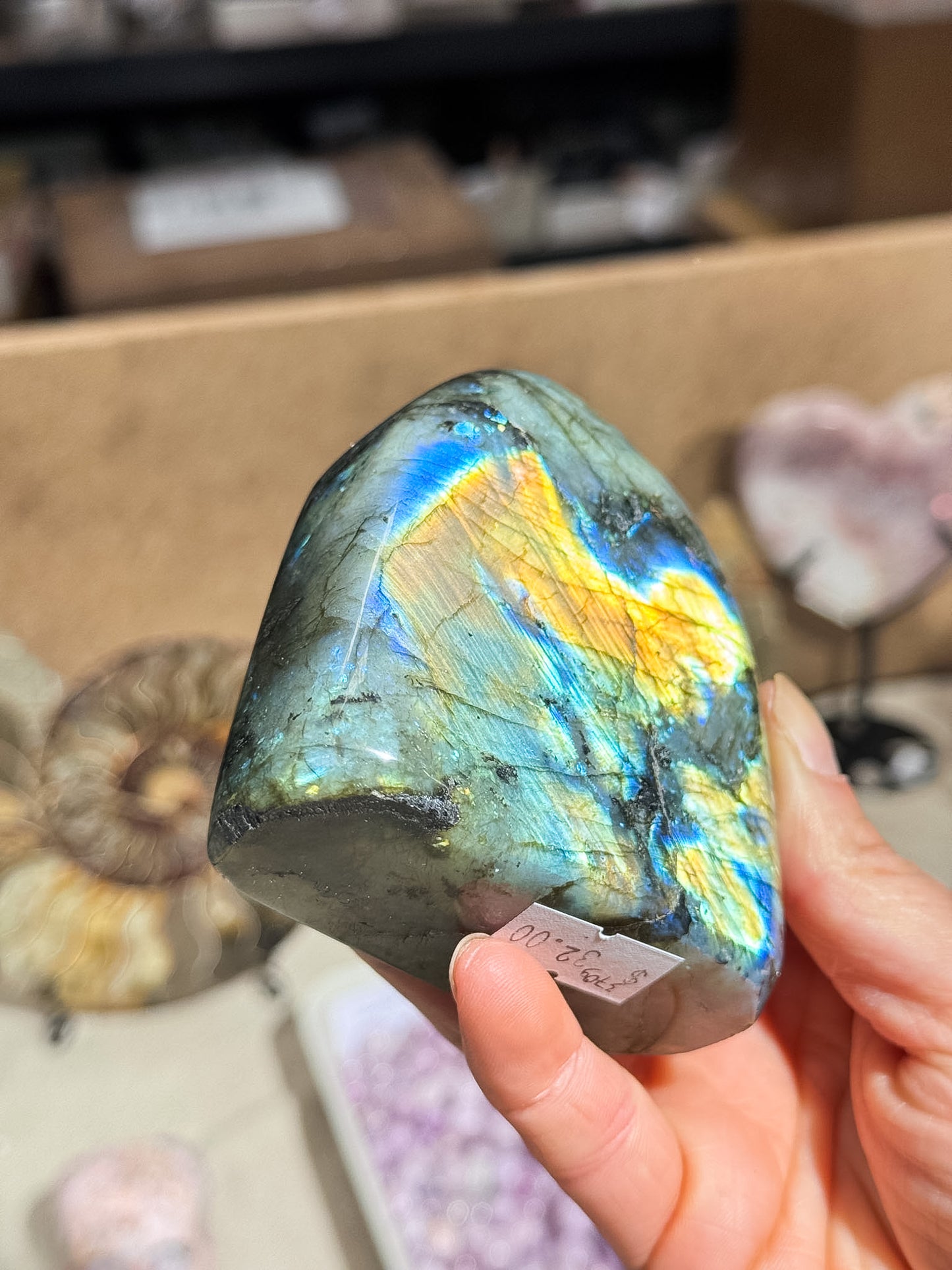Gold Labradorite Freeform