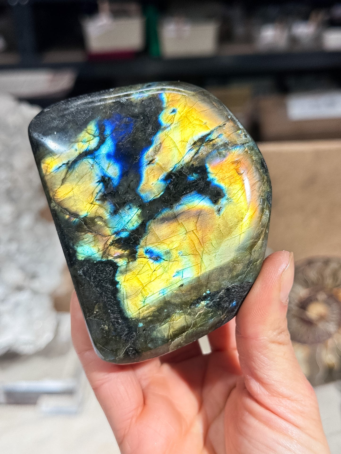 Gold Labradorite Freeform