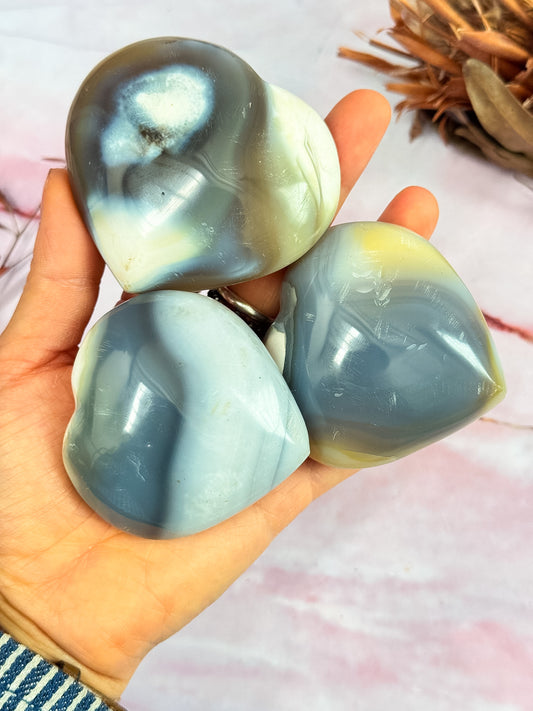 Orca Agate Hearts