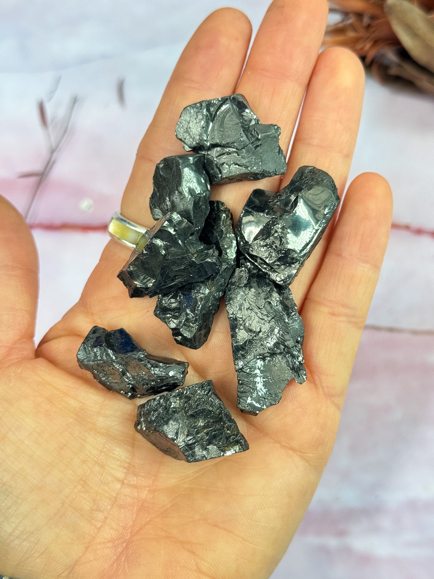 Noble Shungite Roughs