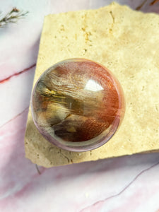 Petrified Wood Sphere