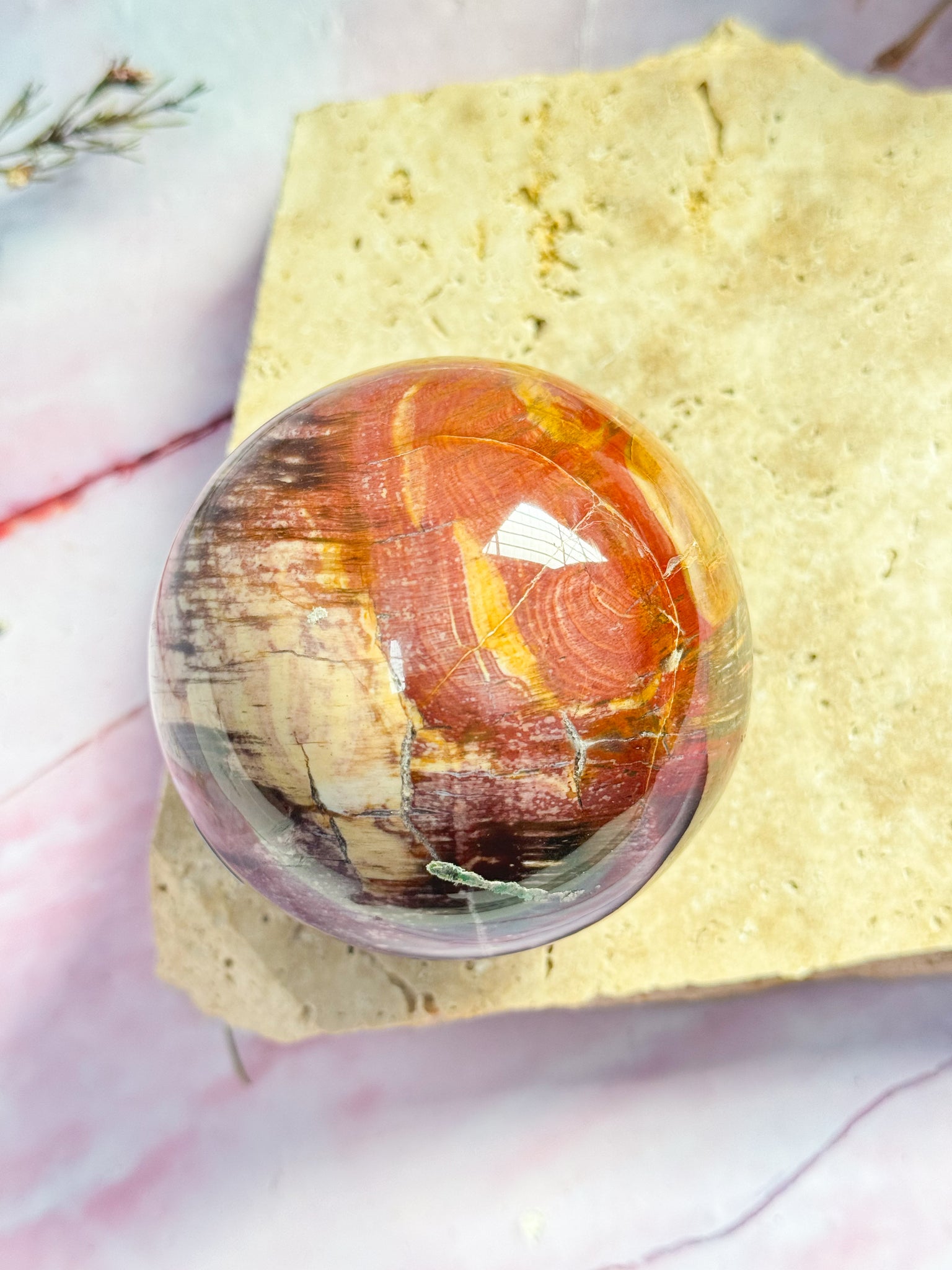 Petrified Wood Sphere