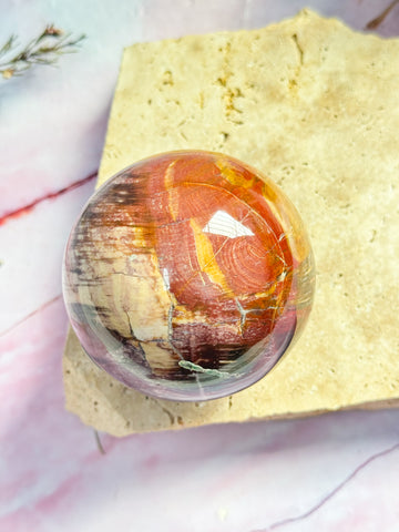 Petrified Wood Sphere