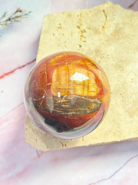 Petrified Wood Sphere