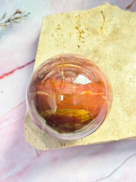 Petrified Wood Sphere