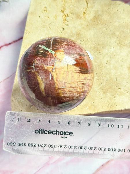 Petrified Wood Sphere