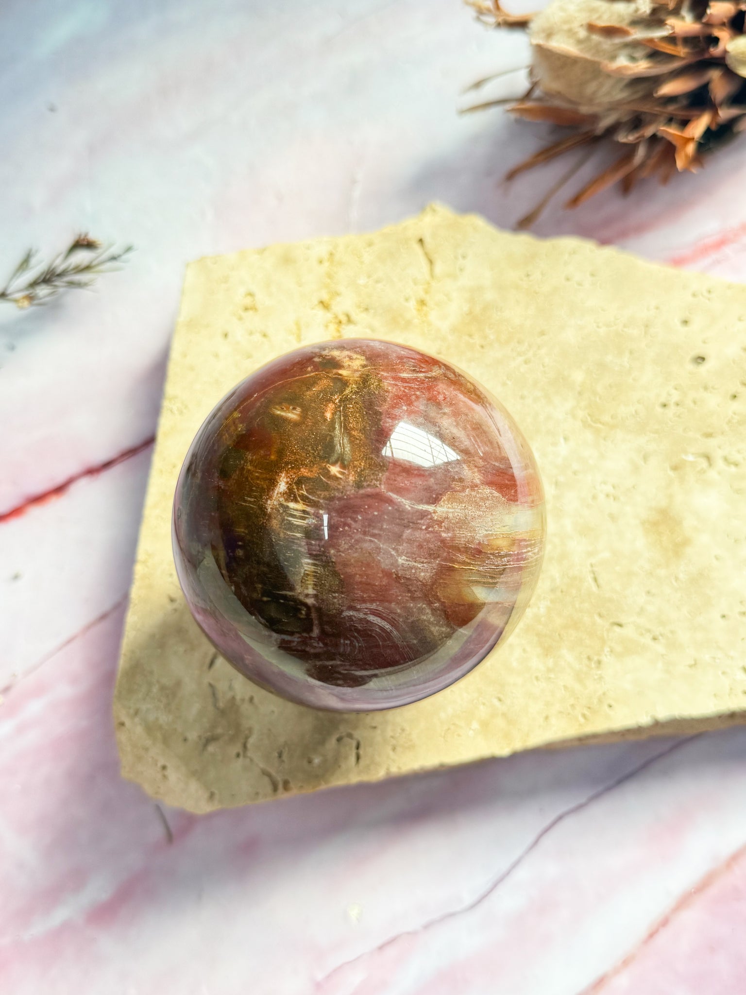 Petrified Wood Sphere