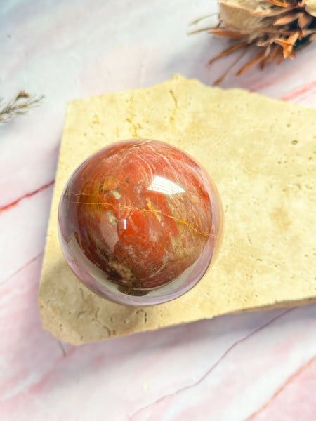 Petrified Wood Sphere