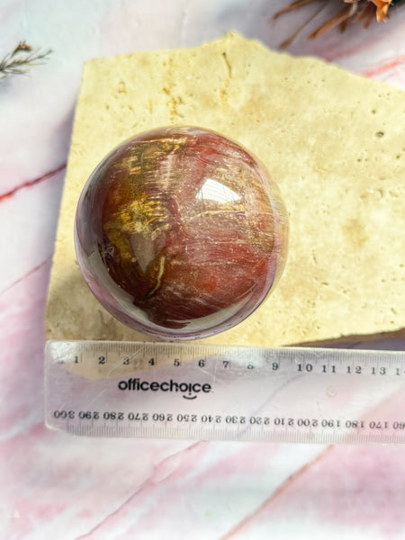 Petrified Wood Sphere