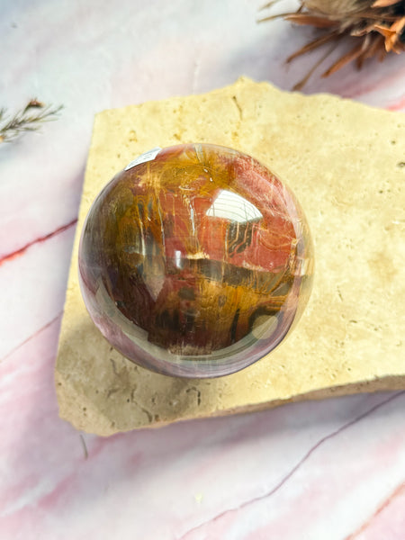 Petrified Wood SPhere