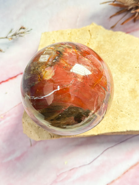 Petrified Wood Sphere