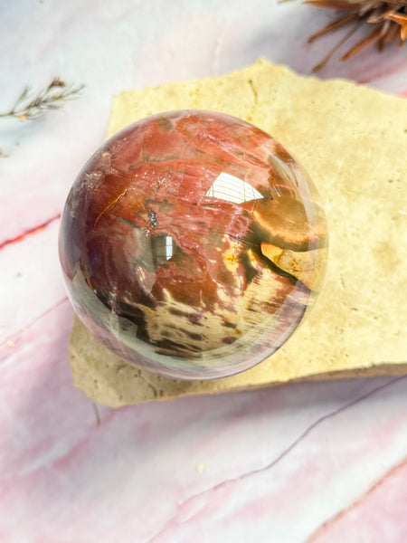 Petrified Wood Sphere