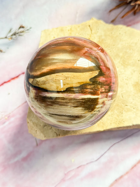 Petrified Wood Sphere