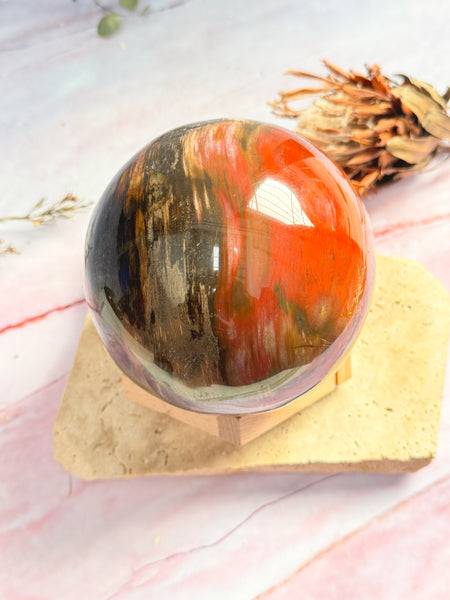 Large Petrified Wood Sphere