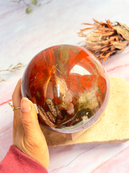 Large Petrified Wood Sphere