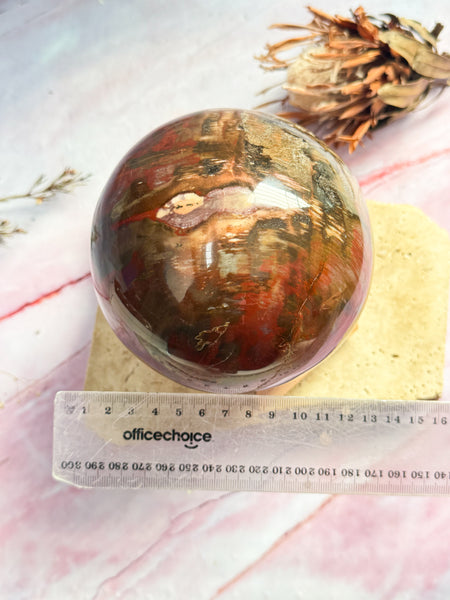 Large Petrified Wood Sphere