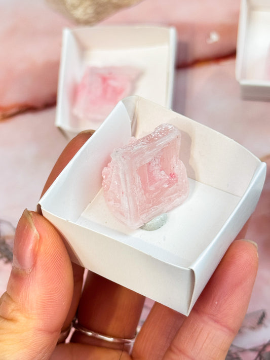 Small Halite Specimens