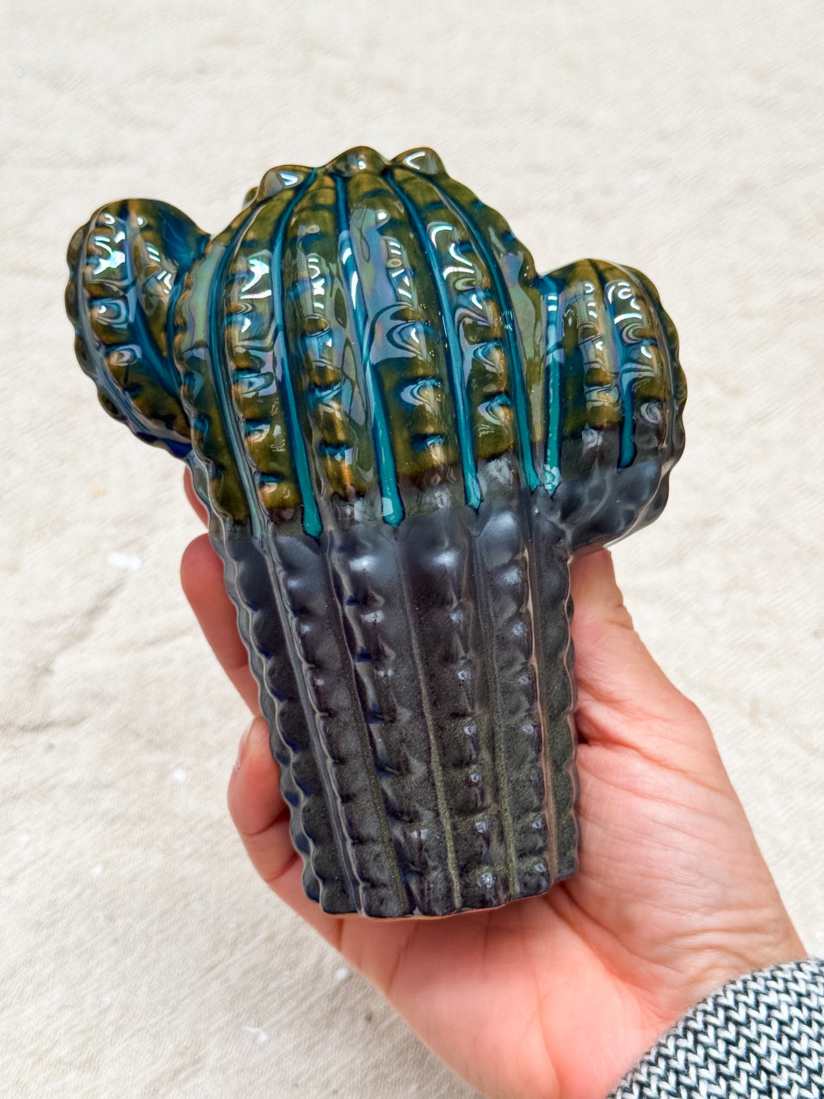 Cactus Backflow Incense Holder