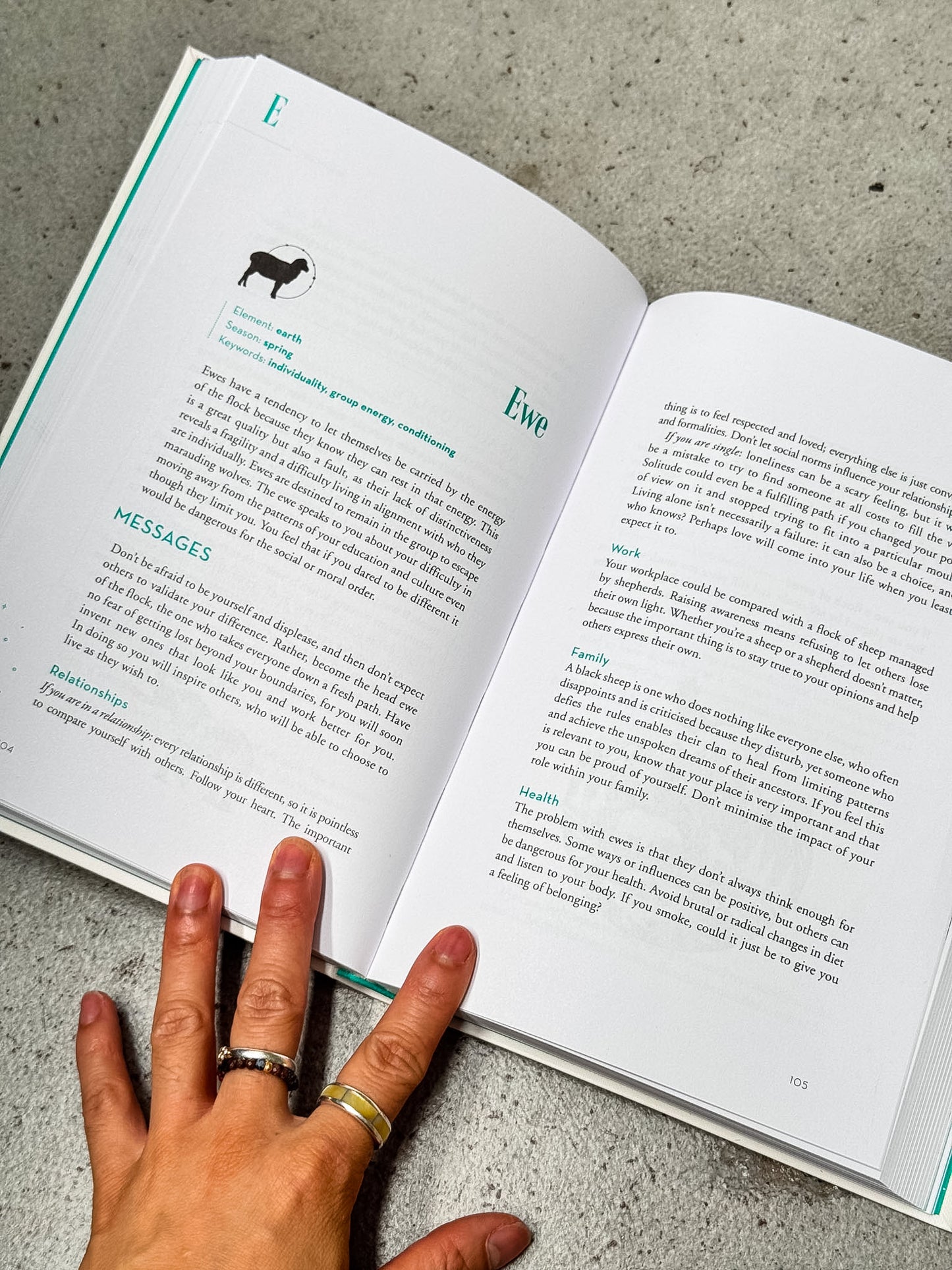 Animal Symbolism Book