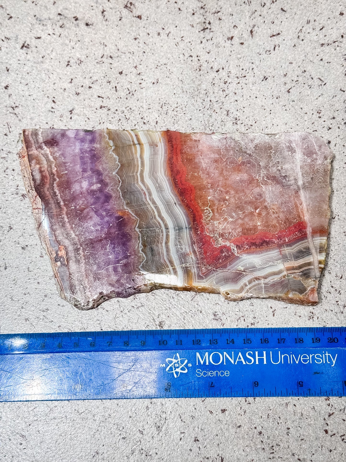 Amethyst with Crazy Lace Agate Slice