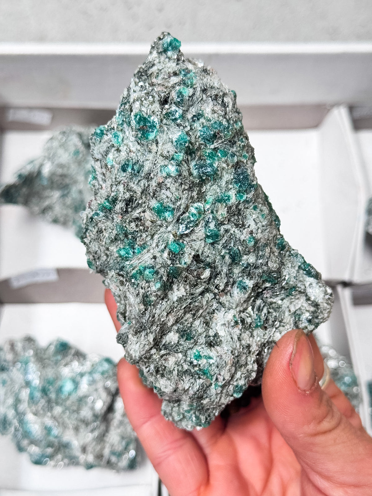 Emerald in Mica Roughs