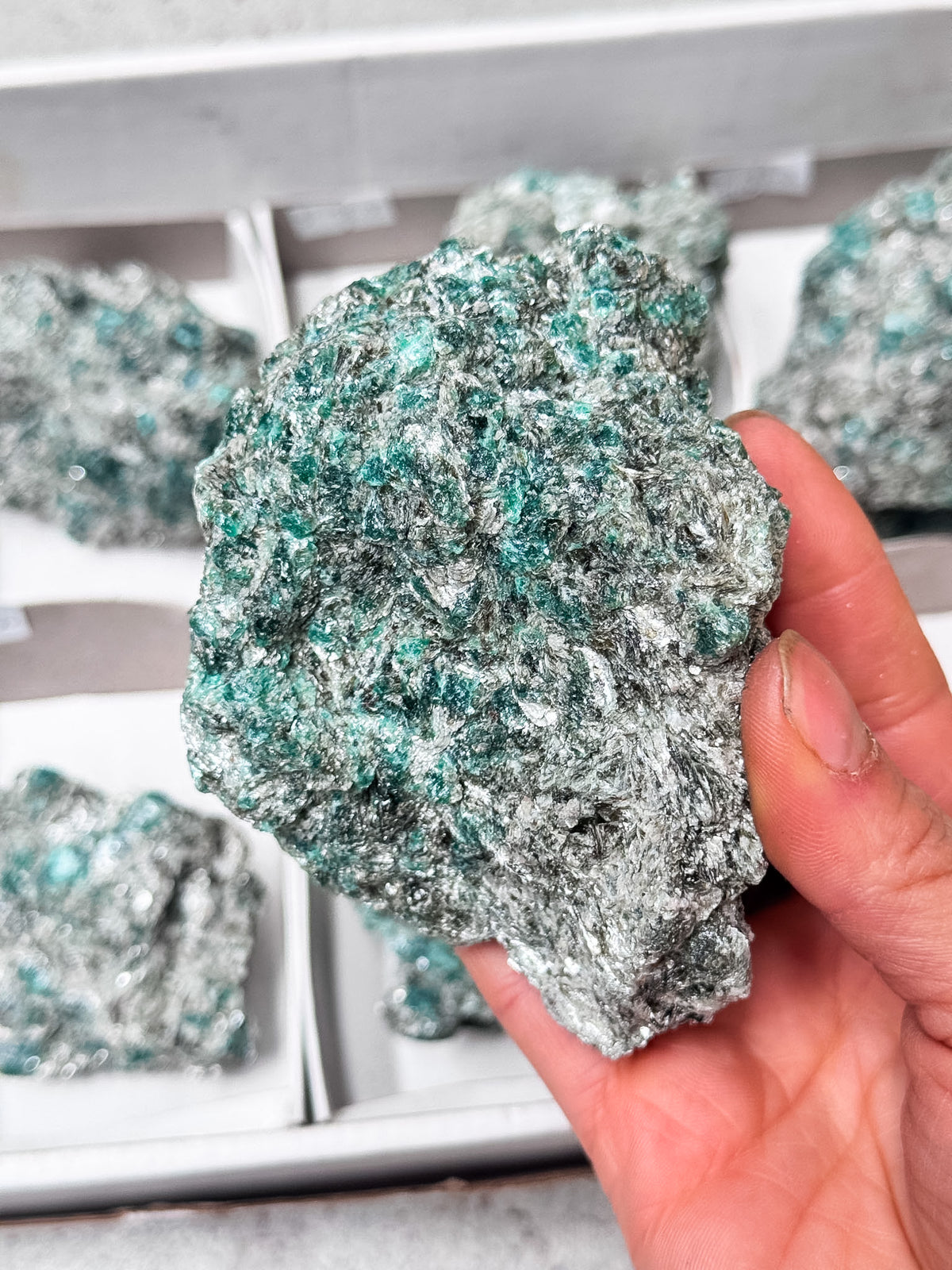 Emerald in Mica Roughs