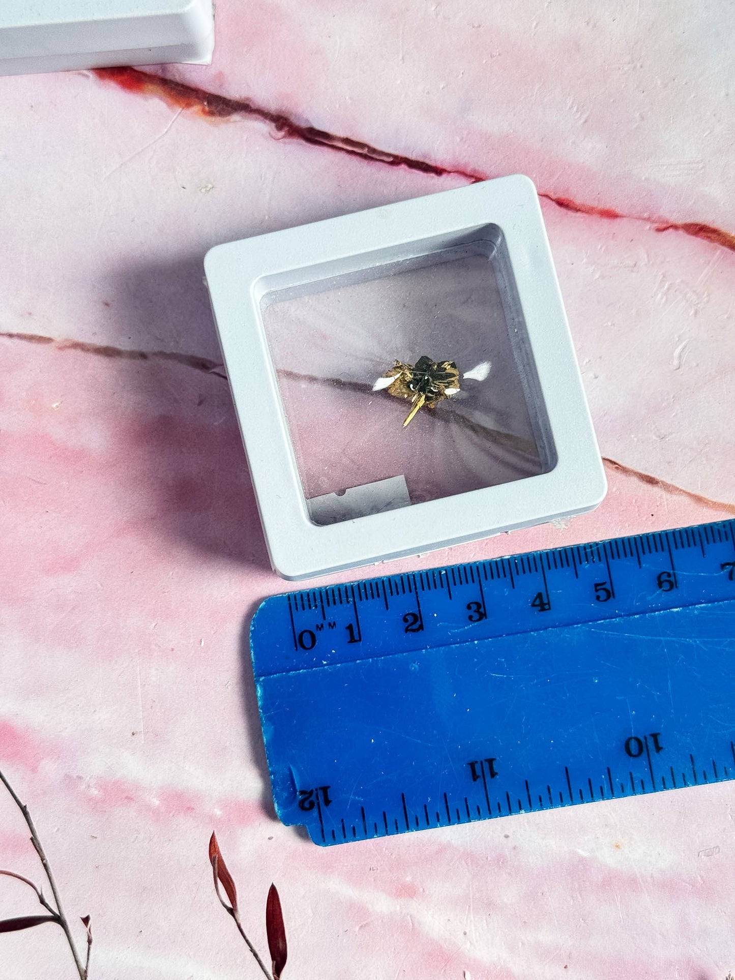 Starbust Rutile Specimens