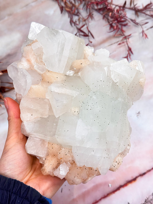 Large Apophyllite Cluster