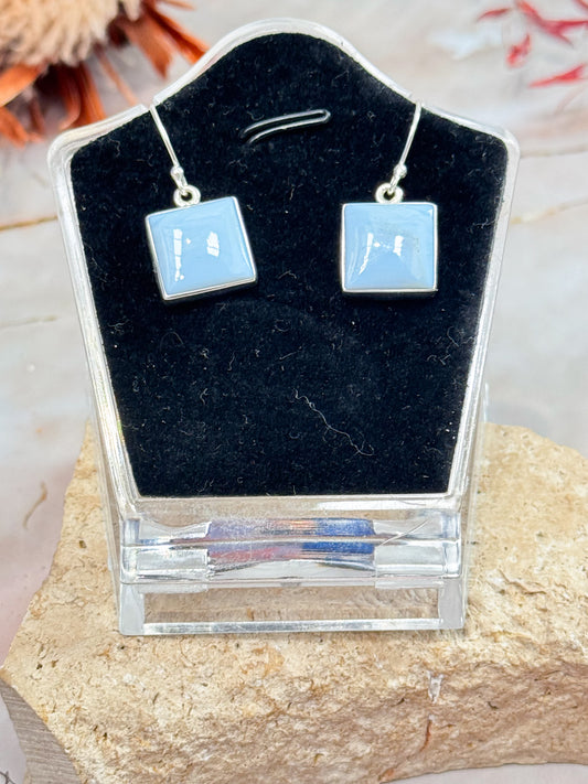 Owyhee Opal Earrings