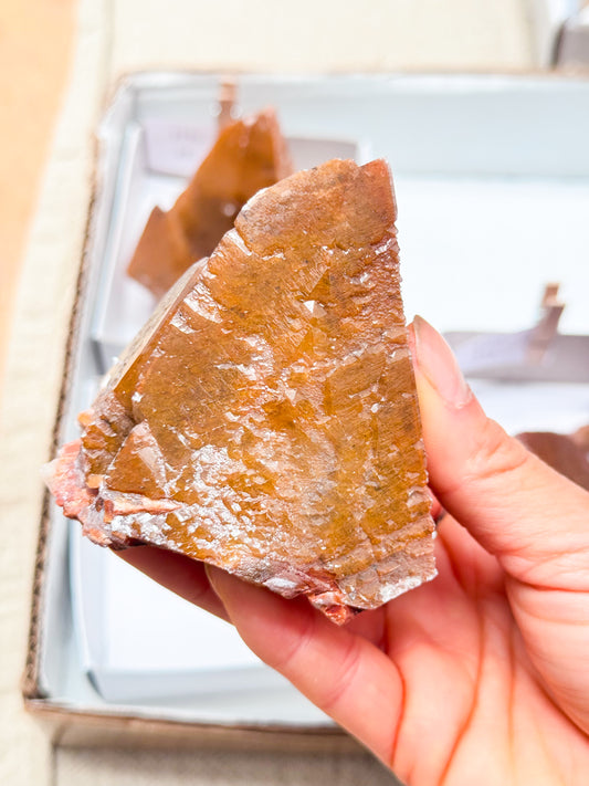 Hubei Wolf Tooth Calcite Clusters