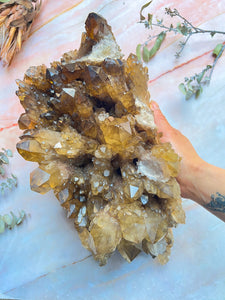 Extra Large Congo Citrine Cluster