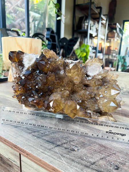 Extra Large Congo Citrine Cluster