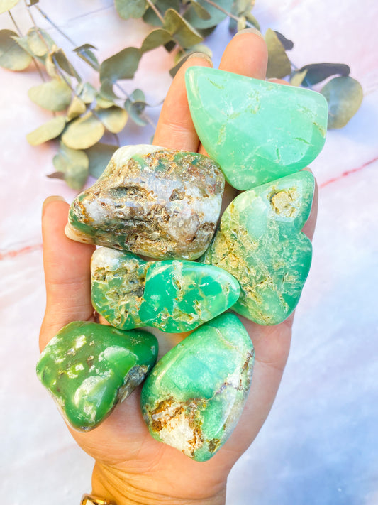 Large Chrysoprase Tumbles