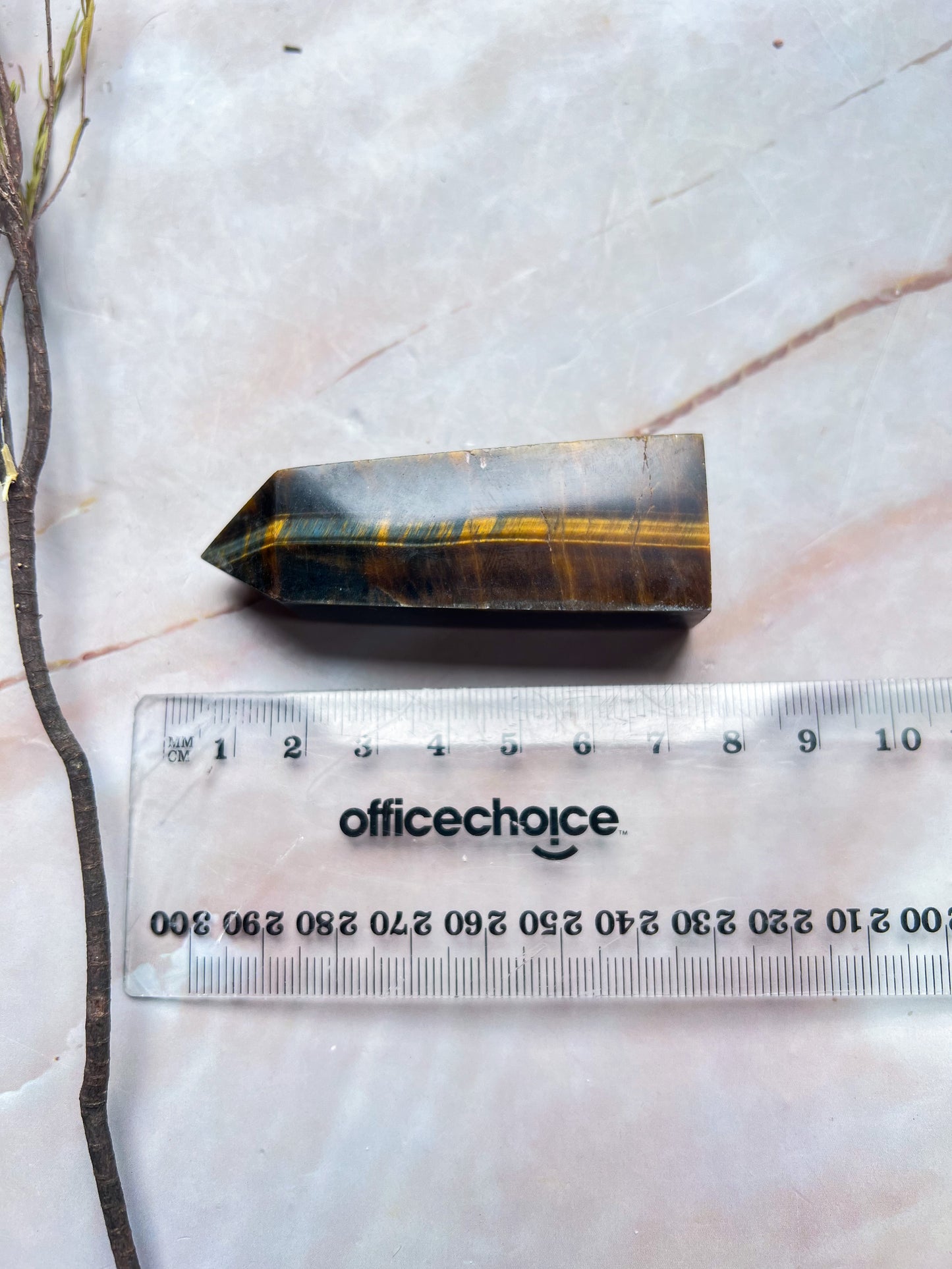 Tigers Eye Points